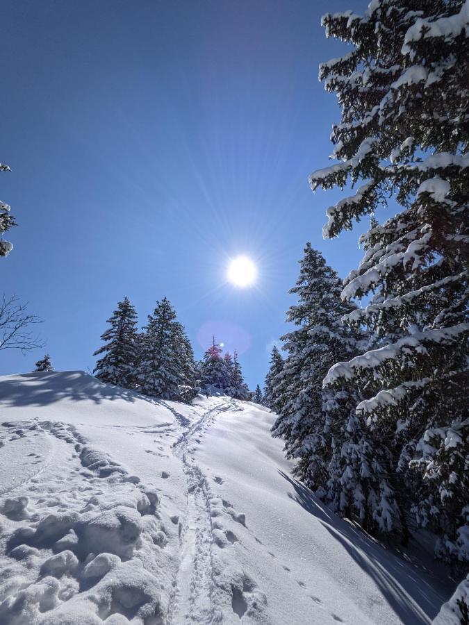 Ferienhaus Vakanz Raggal Bagian luar foto
